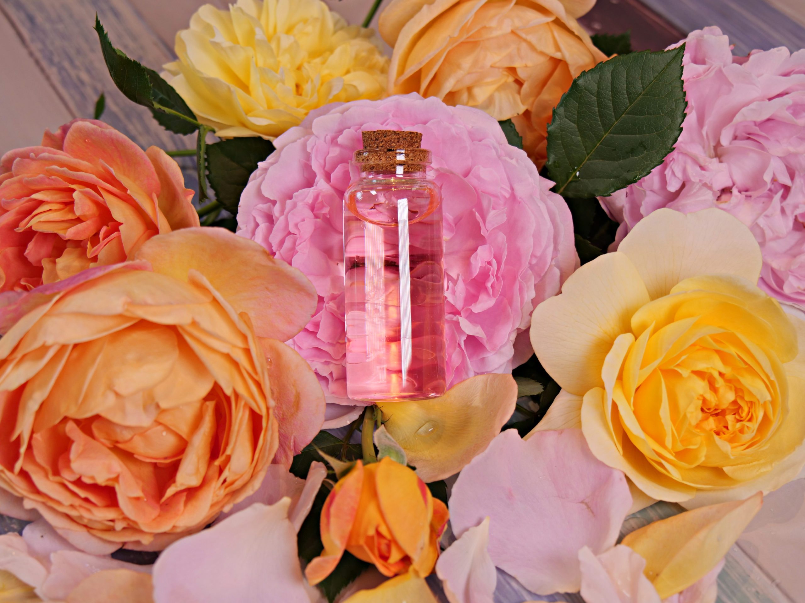 Rosewater Toner